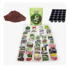 Food Care Vegetable Seeds