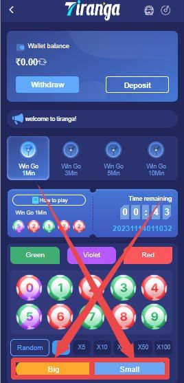 Play WinGO Game